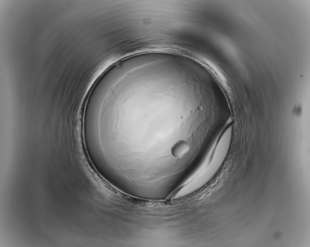 X0000099230907200805081554