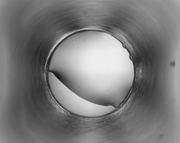 X0000099230908200805081554