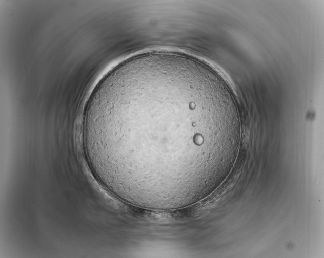 X0000099230911200805081554