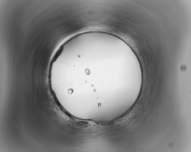 X0000099230912200805081554