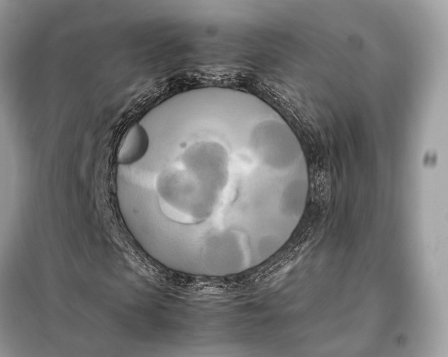 X0000099230913200805081553