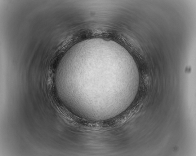 X0000099230914200805081553