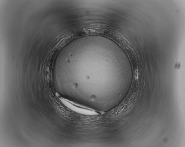 X0000099230915200805081553