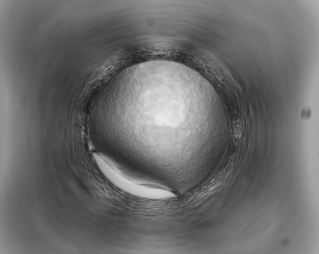 X0000099230916200805081553