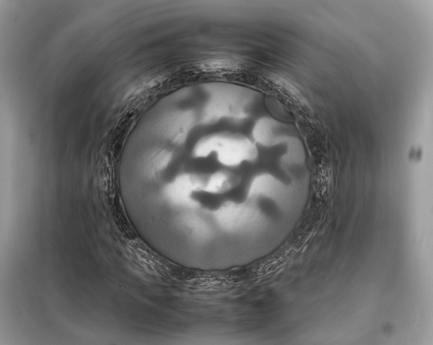 X0000099230917200805081553