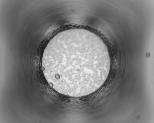 X0000099230918200805081553