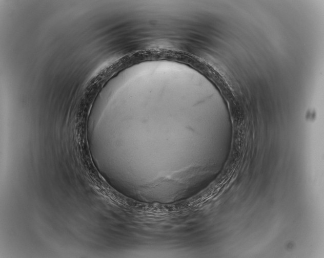 X0000099230919200805081553