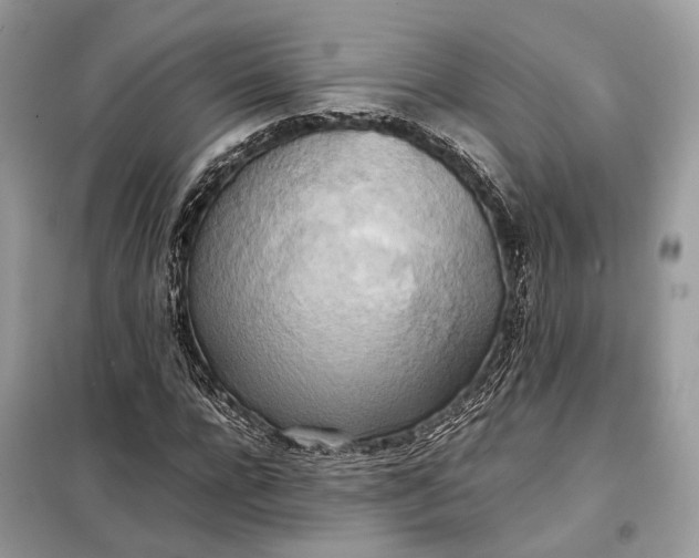 X0000099230920200805081553