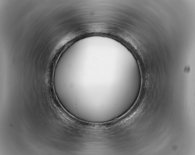 X0000099230922200805081553