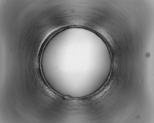 X0000099230924200805081554