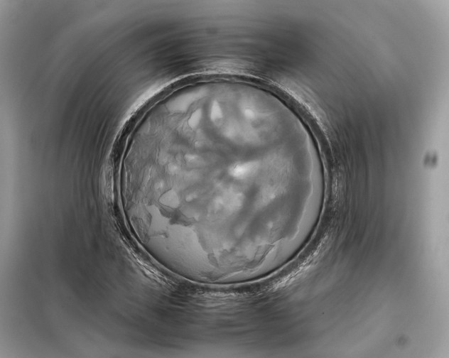 X0000099230925200805081554