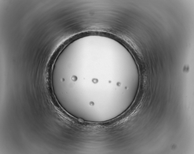 X0000099230926200805081554