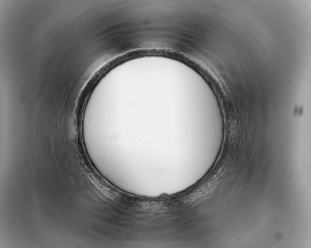 X0000099230927200805081554