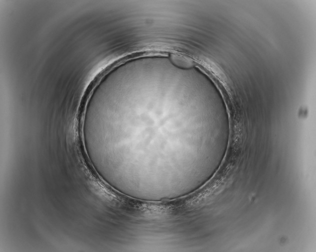 X0000099230928200805081554