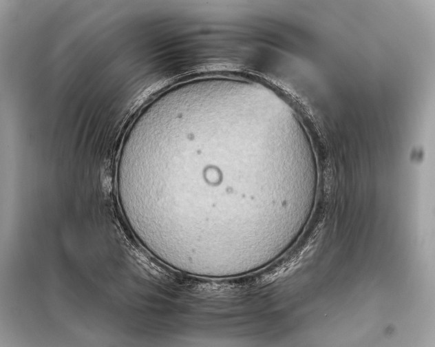 X0000099230929200805081554