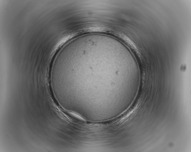 X0000099230930200805081554