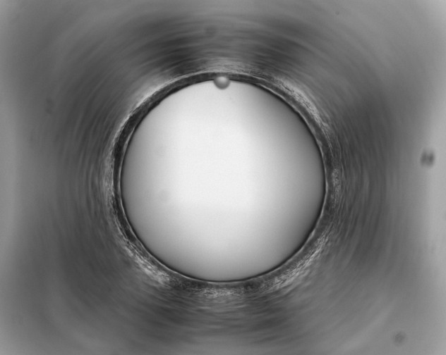 X0000099230931200805081554