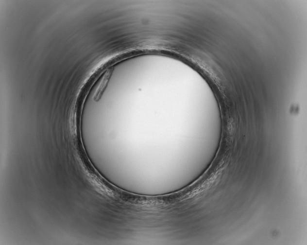 X0000099230934200805081554