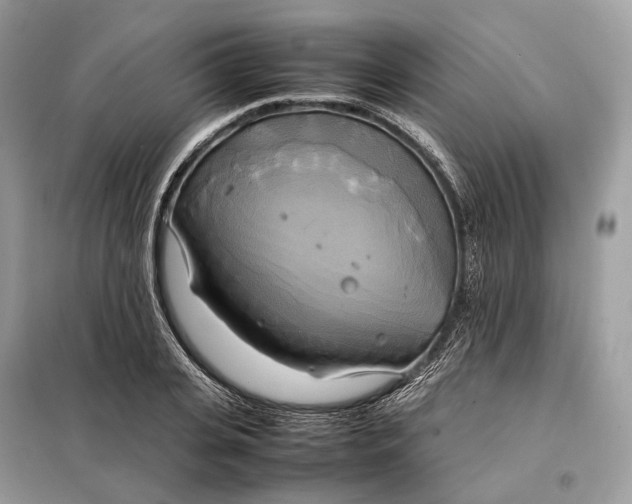 X0000099230935200805081554