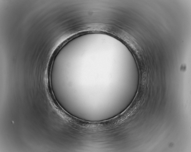 X0000099230936200805081554