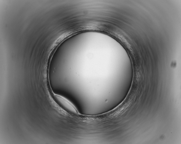 X0000099230938200805081554