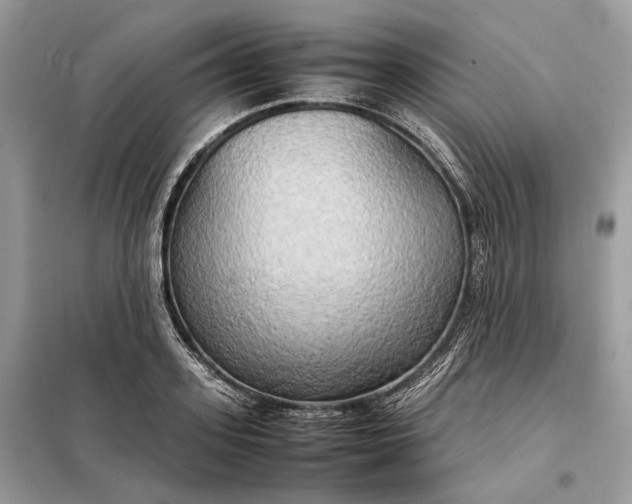 X0000099230939200805081554