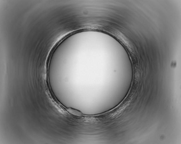 X0000099230940200805081554