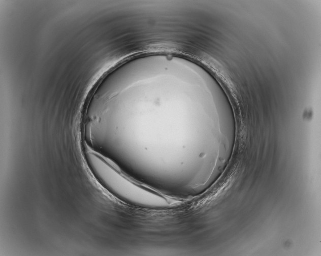 X0000099230941200805081554