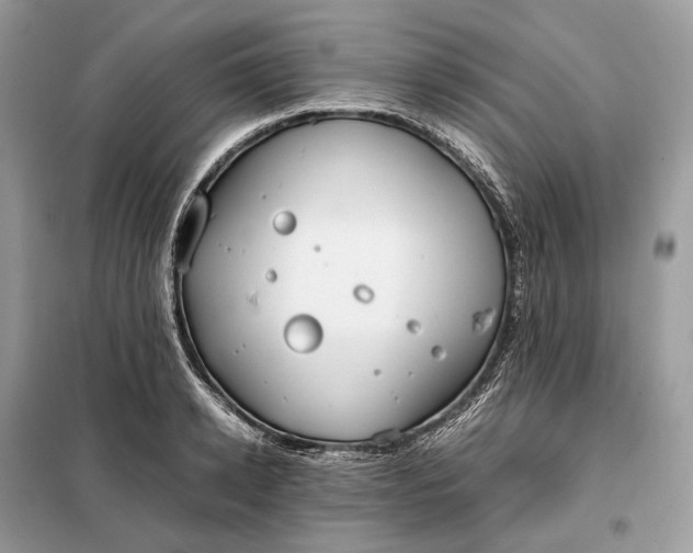 X0000099230942200805081554