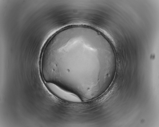 X0000099230943200805081554