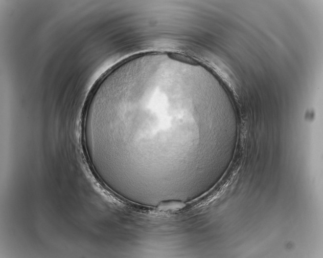 X0000099230944200805081554