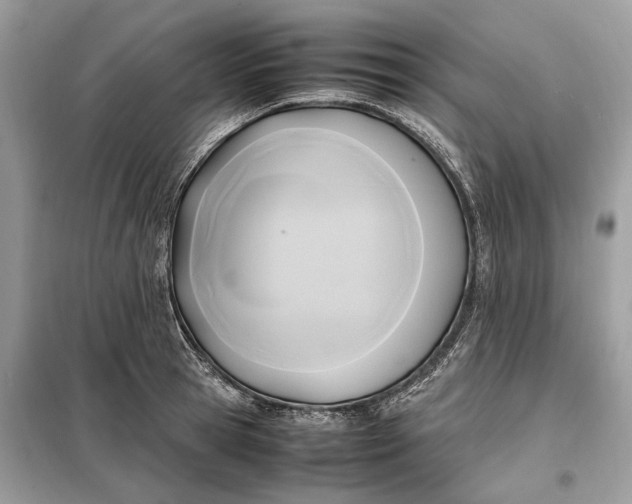 X0000099230945200805081554