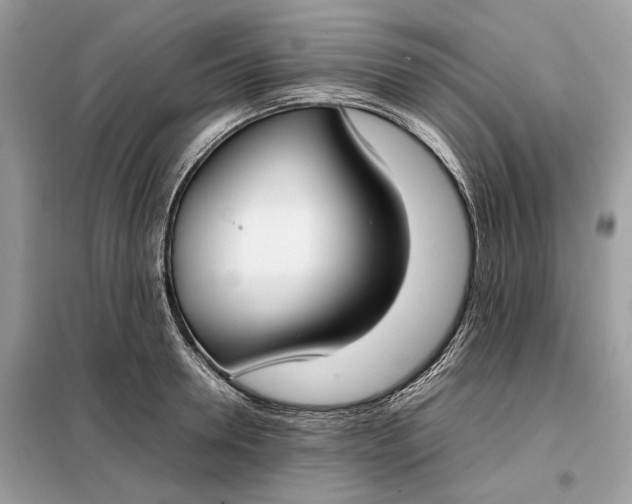 X0000099230946200805081554