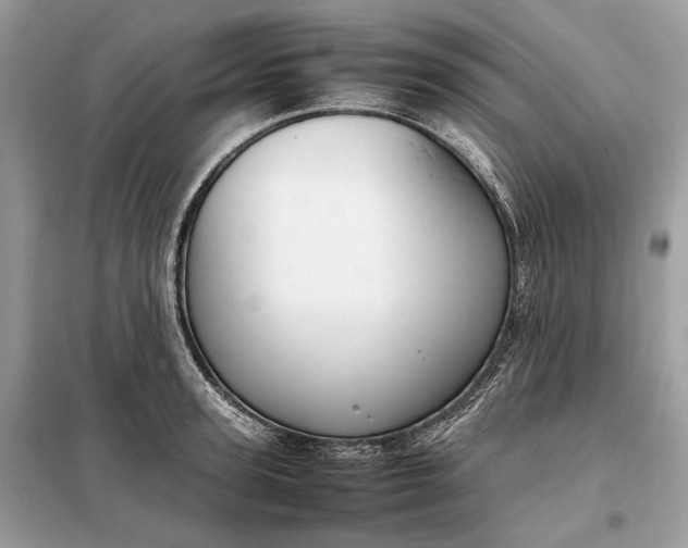 X0000099230947200805081554