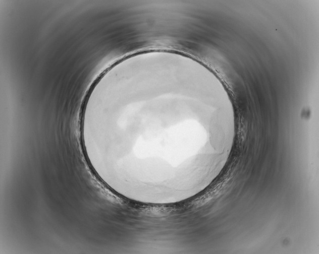 X0000099230950200805081554