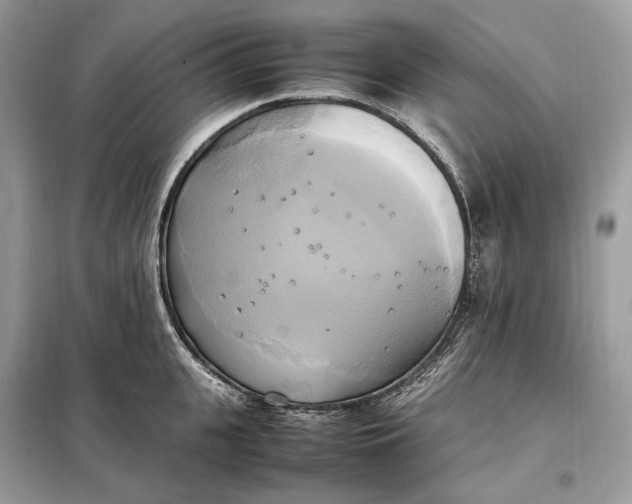 X0000099230951200805081554