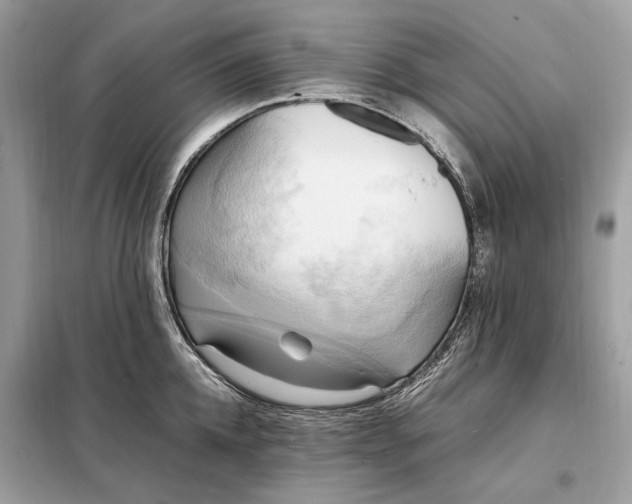 X0000099230952200805081554