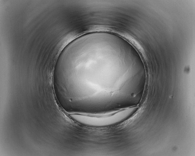 X0000099230953200805081554