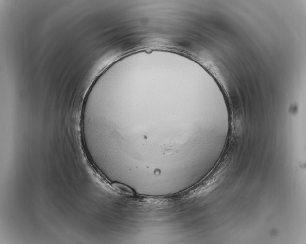 X0000099230954200805081554