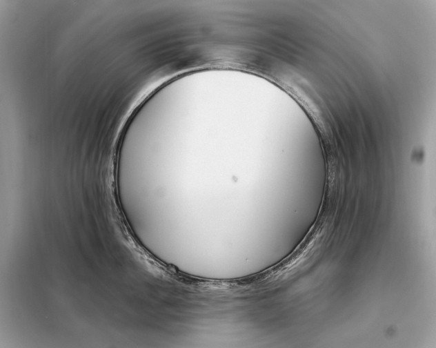 X0000099230956200805081554