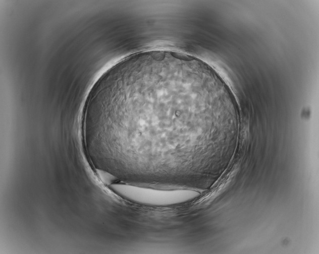 X0000099230957200805081554