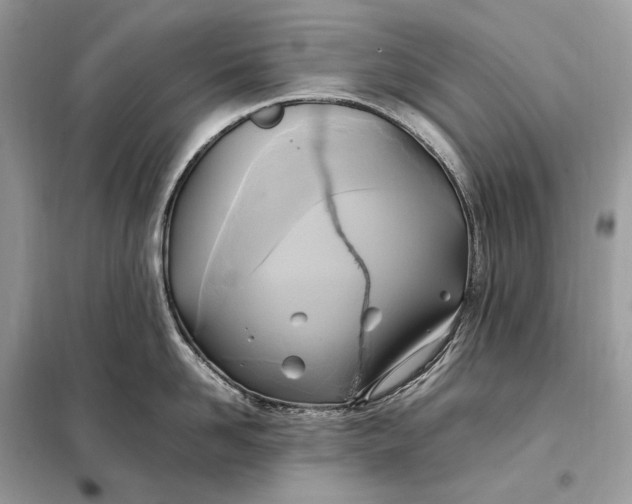 X0000099230958200805081554