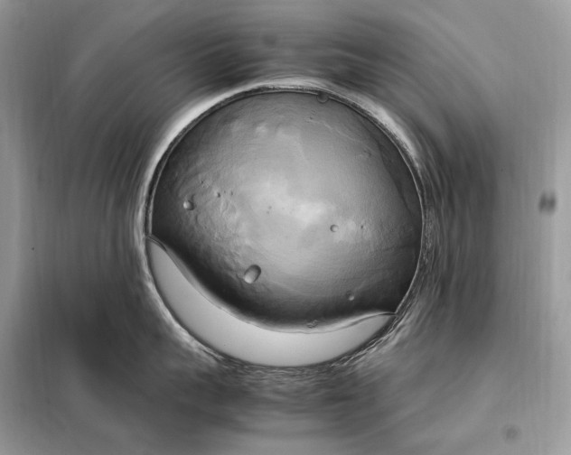 X0000099230959200805081554