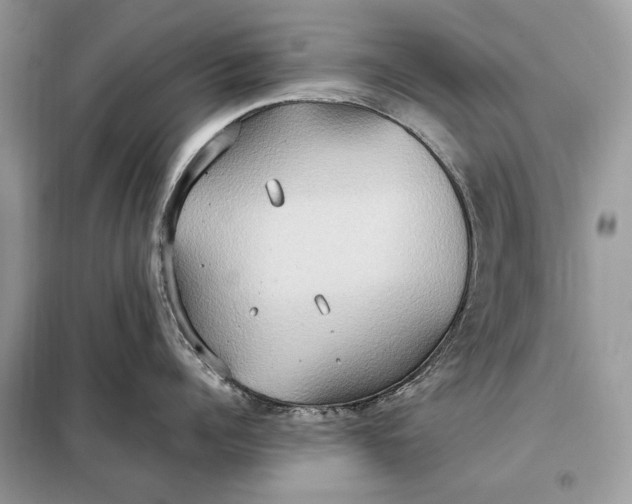 X0000099230960200805081554