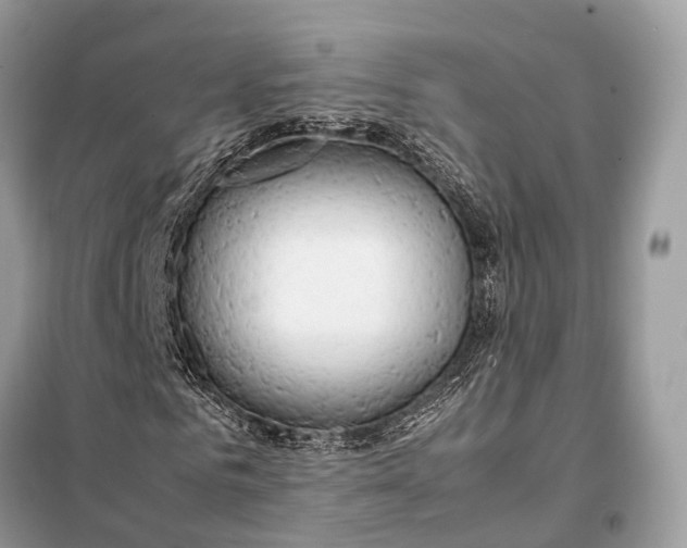 X0000099230961200805081553