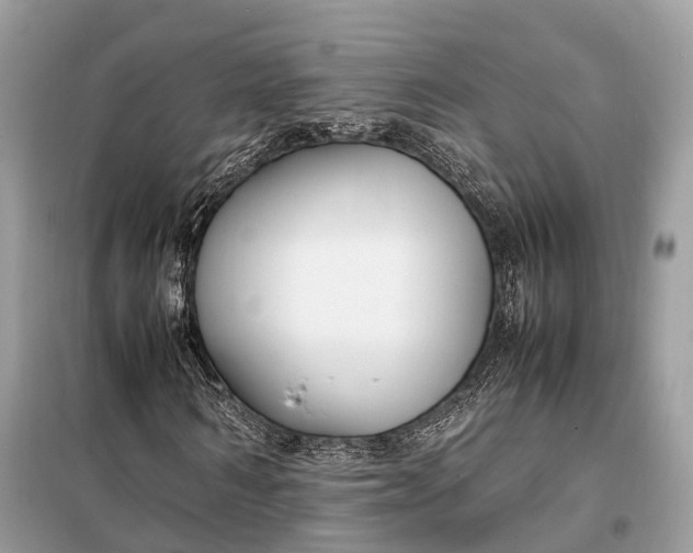 X0000099230962200805081553