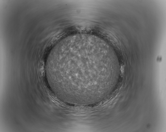 X0000099230963200805081553