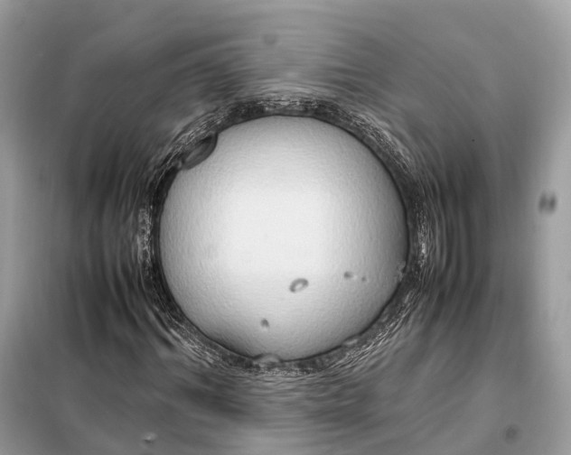 X0000099230964200805081553