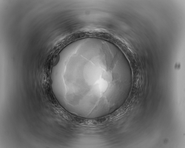 X0000099230966200805081553