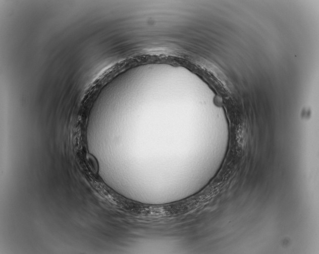 X0000099230968200805081553